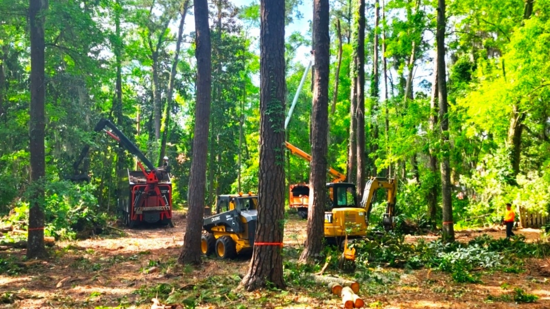 Lot Clearing Image